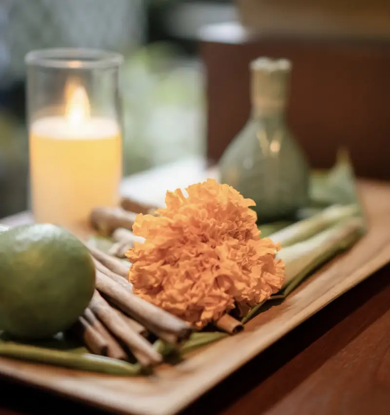 Fresh Botanicals - Hava Spa Ubud